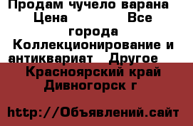 Продам чучело варана › Цена ­ 15 000 - Все города Коллекционирование и антиквариат » Другое   . Красноярский край,Дивногорск г.